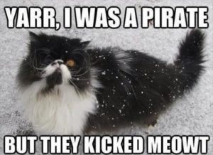 Pirate cat with the caption, Yarr, I was a pirate once, but they kicked Meowt