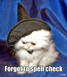 Sad white cat with witch's hat, with the caption, Forgot to spell check