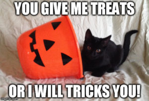 Black cat with Halloween bucket