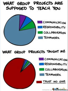 Meme showing Pie Charts on Group Work