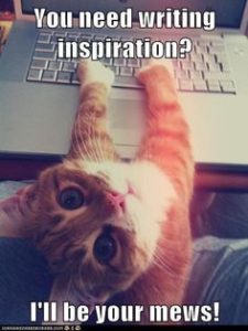 Meme of cat at keyboard, with the caption Inspiration? I'll be your mews.