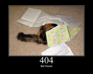 Cat, hiding under some papers, with the caption, 404 Not Found