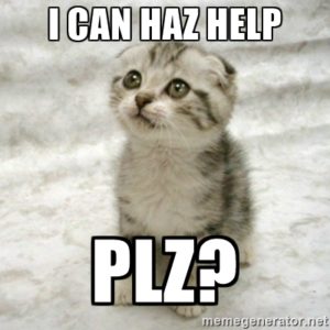 Photo of a sad cat with the caption, I can haz help plz?