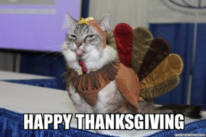 Cat in a turkey costume, wih the caption, Happy Thanksgiving!